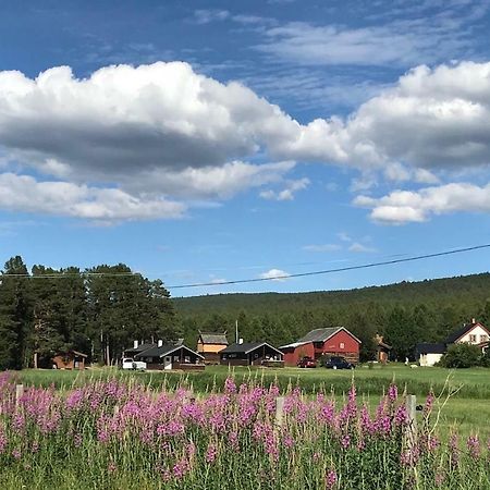 Roste Hyttetun Og Camping Os (Hedmark) エクステリア 写真