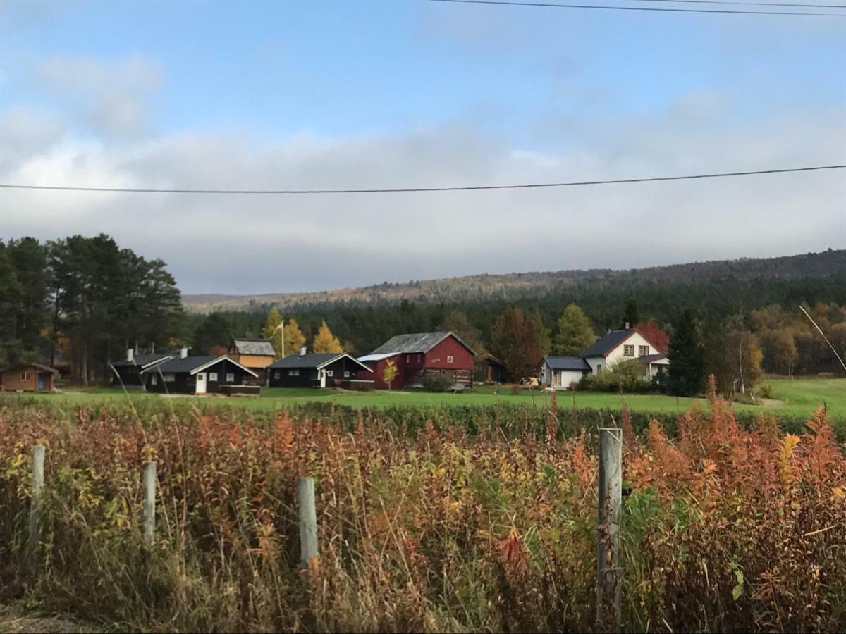 Roste Hyttetun Og Camping Os (Hedmark) エクステリア 写真