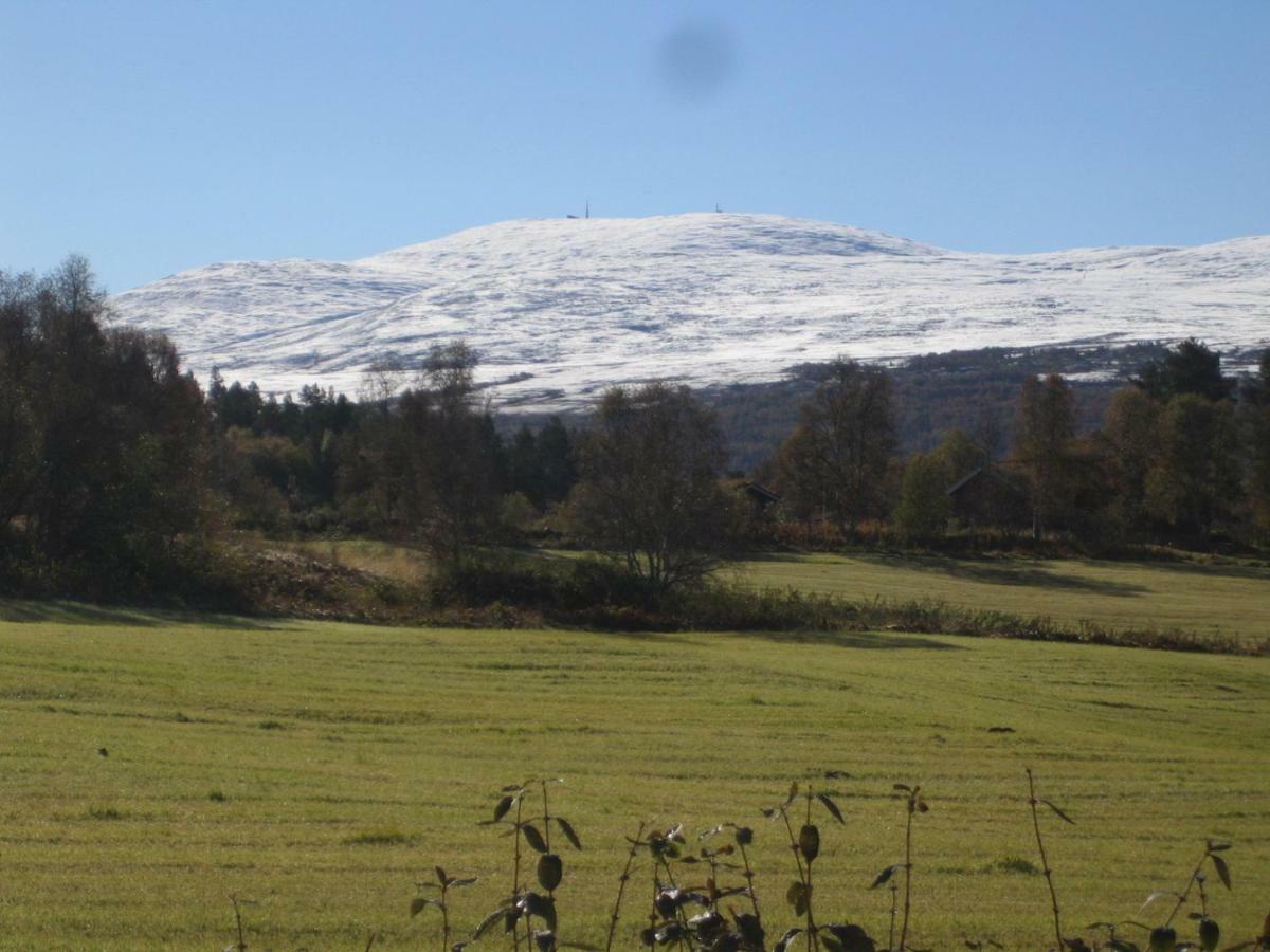 Roste Hyttetun Og Camping Os (Hedmark) エクステリア 写真