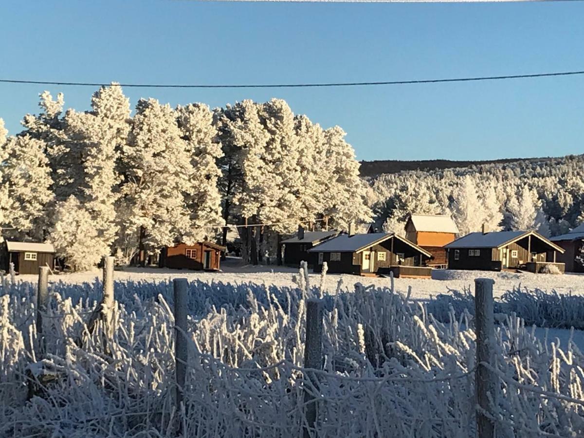 Roste Hyttetun Og Camping Os (Hedmark) エクステリア 写真